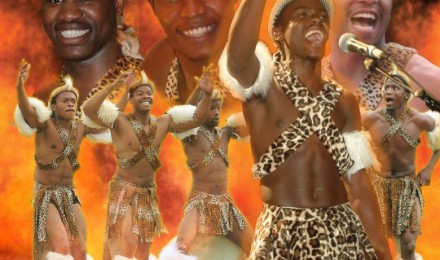 zulu website